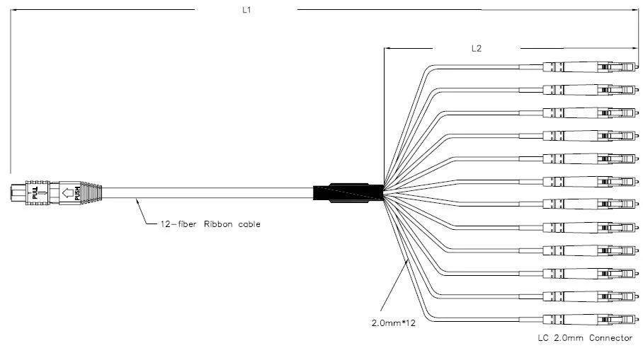 MPO Harness & Fan out Cable Assemblies