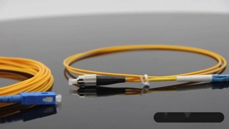 Pigtail de fibra óptica de fita de 12 núcleos com conectores Sc/APC Sm do fabricante da China